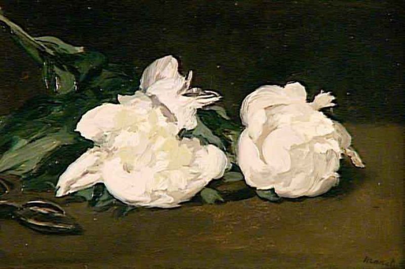 manet19fra branche de pivoines blanches et secateur 1964.jpg